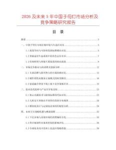 2026及未來5年中國子母燈市場分析及競爭策略研究報告
