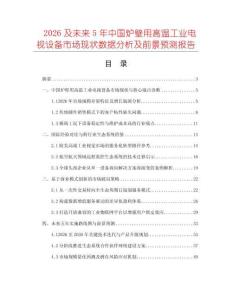 2026及未來5年中國爐壁用高溫工業電視設備市場現狀數據分析及前景預測報告