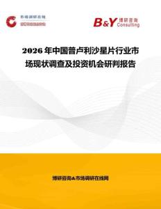 2026年中國普盧利沙星片行業市場現狀調查及投資機會研判報告