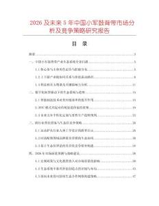 2026及未來5年中國小軍鼓背帶市場分析及競爭策略研究報告