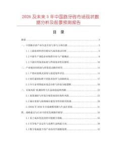 2026及未來5年中國路牙磚市場現狀數據分析及前景預測報告