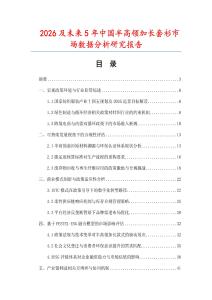 2026及未來5年中國半高領加長套衫市場數(shù)據(jù)分析研究報告