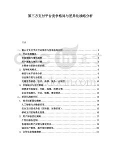 第三方支付平臺競爭格局與差異化戰(zhàn)略分析