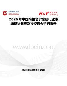 2026年中國棉拉舍爾童毯行業市場現狀調查及投資機會研判報告