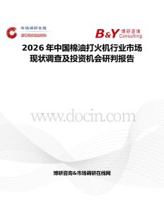 2026年中國棉油打火機行業市場現狀調查及投資機會研判報告