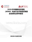 2026年中國棱柱形鎳氫（NiMH）電池行業市場現狀調查及投資機會研判報告