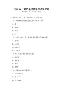 2025年計算機編程基礎考試及答案