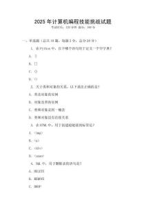 2025年計算機編程技能挑戰試題