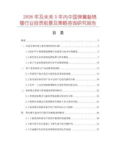 2026年及未來5年內中國彈簧敲銹錘行業投資前景及策略咨詢研究報告