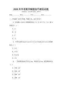 2026年中考數(shù)學(xué)解題技巧模擬試題