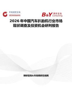 2026年中國汽車扒胎機(jī)行業(yè)市場現(xiàn)狀調(diào)查及投資機(jī)會研判報(bào)告