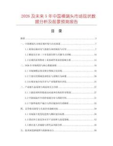 2026及未來5年中國裸端頭市場現(xiàn)狀數(shù)據(jù)分析及前景預(yù)測報告