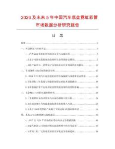 2026及未來5年中國汽車底盤霓虹彩管市場數據分析研究報告