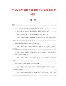 2025年中國加長球型扳手市場調(diào)查研究報告