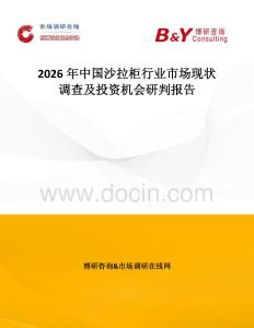 2026年中國沙拉柜行業市場現狀調查及投資機會研判報告