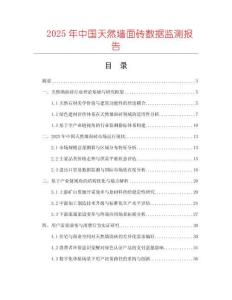 2025年中國天然墻面磚數(shù)據(jù)監(jiān)測報告