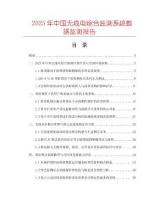2025年中國(guó)無(wú)線電綜合監(jiān)測(cè)系統(tǒng)數(shù)據(jù)監(jiān)測(cè)報(bào)告