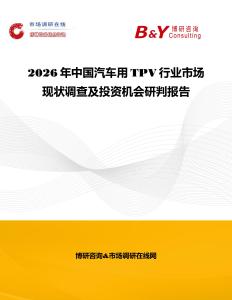 2026年中國汽車用TPV行業市場現狀調查及投資機會研判報告