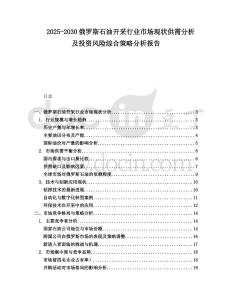 2025-2030俄羅斯石油開采行業(yè)市場現(xiàn)狀供需分析及投資風(fēng)險綜合策略分析報告