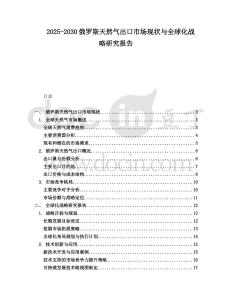 2025-2030俄羅斯天然氣出口市場現(xiàn)狀與全球化戰(zhàn)略研究報告