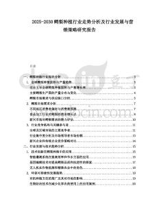 2025-2030鱷梨種植行業走勢分析及行業發展與營銷策略研究報告