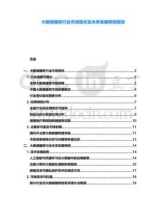 大数据服务行业市场现状及未来发展预测报告