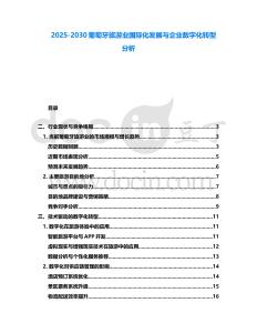 2025-2030葡萄牙旅游業國際化發展與企業數字化轉型分析