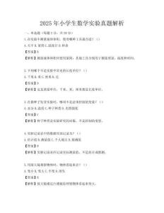 2025年小學生數學實驗真題解析