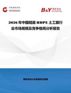 2026年中國糙面HDPE土工膜行業市場規模及競爭格局分析報告