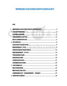 俄羅斯能源行業(yè)技術(shù)創(chuàng)新方向研究與投資機(jī)會(huì)爭奪