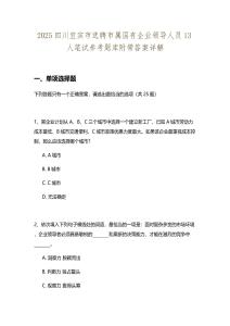 2025四川宜賓市選聘市屬國有企業領導人員13人筆試參考題庫附帶答案詳解