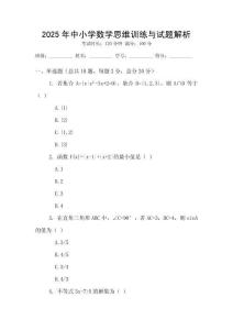 2025年中小學(xué)數(shù)學(xué)思維訓(xùn)練與試題解析