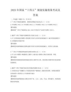 2025年國家“十四五”規(guī)劃實施效果考試及答案