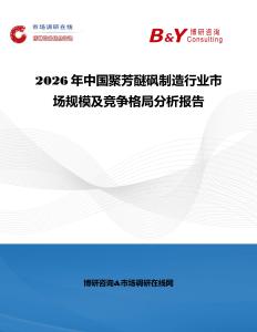 2026年中国聚芳醚砜制造行业市场规模及竞争格局分析报告