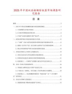2025年中國雙層格柵除鐵器市場調查研究報告