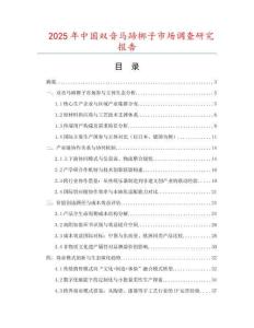 2025年中國(guó)雙音馬蹄梆子市場(chǎng)調(diào)查研究報(bào)告