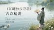 《江畔獨步尋花》古詩精講