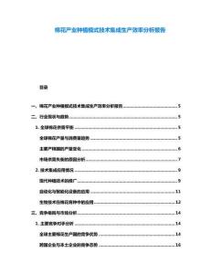 棉花產(chǎn)業(yè)種植模式技術(shù)集成生產(chǎn)效率分析報(bào)告