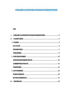 环境治理行业市场供需分析及投资评估规划研究报告