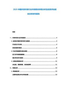 2025中国共享环保行业市场现状供需分析及投资评估规划分析研究报告