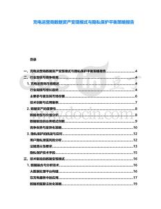 充電運(yùn)營商數(shù)據(jù)資產(chǎn)變現(xiàn)模式與隱私保護(hù)平衡策略報(bào)告