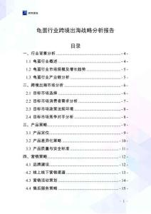 龜蛋行業跨境出海戰略分析報告