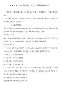 山東省濟(jì)寧市-2026年5月九年級(jí)道德與法治中考模擬沖刺試卷（含答案）