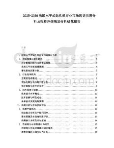 2025-2030法国水平式钻孔机行业市场现状供需分析及投资评估规划分析研究报告