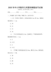 2025年中小學(xué)數(shù)學(xué)幾何圖形解題技巧試卷