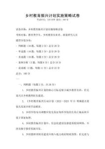鄉(xiāng)村教育振興計(jì)劃實(shí)施策略試卷
