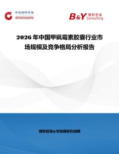 2026年中國甲砜霉素膠囊行業市場規模及競爭格局分析報告