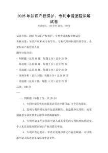 2025年知识产权保护：专利申请流程详解试卷