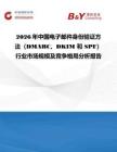 2026年中國電子郵件身份驗證方法（DMARC、DKIM 和 SPF）行業(yè)市場規(guī)模及競爭格局分析報告
