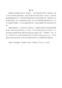 放線菌HU149的分類鑒定